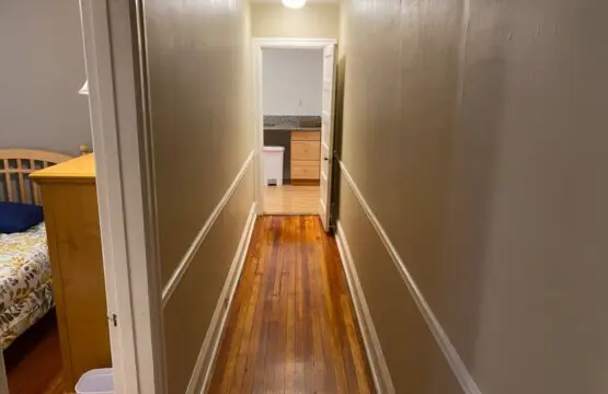 3ccf2347 88db 453f 9681 63fb82ec629c